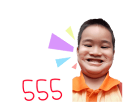 50585438
