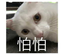 505859070