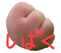 505891922