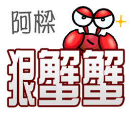 505931281