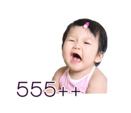 50593734