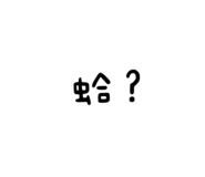 505937964