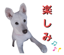 505941802