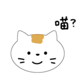 505980658
