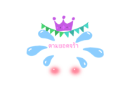 506021384