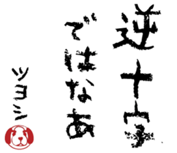 506021661