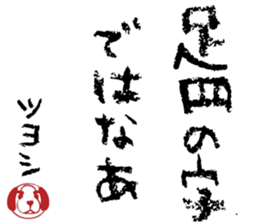 506021667