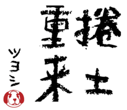 506021668