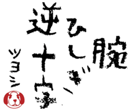 506021675