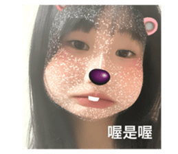 506025778