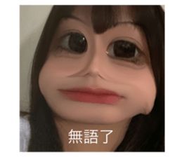 506025779