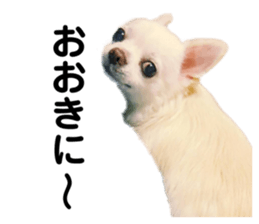 506034331