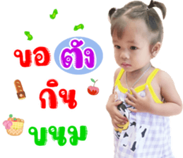506041453