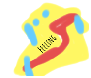 506050798