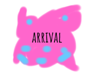 506050811