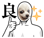 506058620
