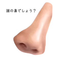 506060050