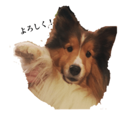 506068975