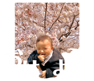 506084975