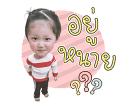 506094880