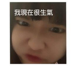 506216982