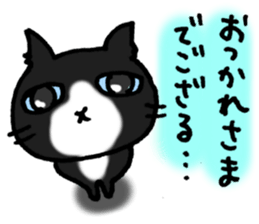 5062673