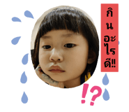 506294397