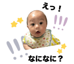 506305260