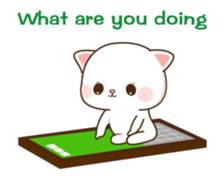 506377303