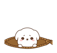 506380582