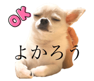 506388910