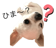 506388912