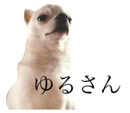 506388919