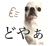506388921