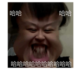 506389574