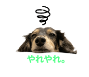 506405080