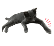 506405090