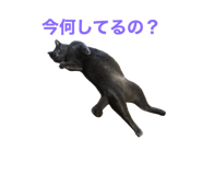 506405093