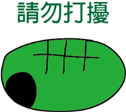 506424275