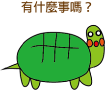 506424284