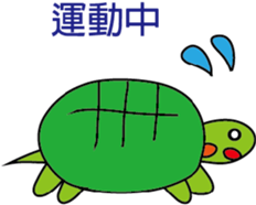 506424288