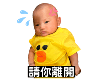 506448378