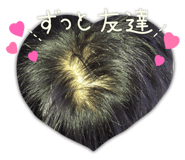 506548837