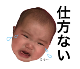 50656681