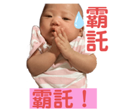 506662278