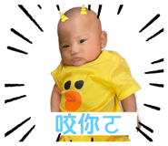 506662282