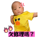 506662290