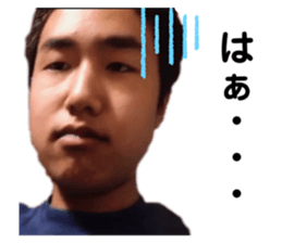 506667201