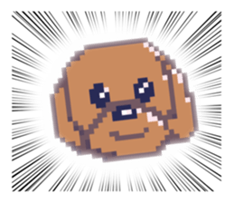 506668439
