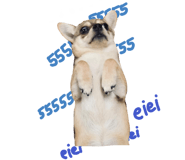 506692363